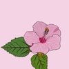 aloha_jade101
